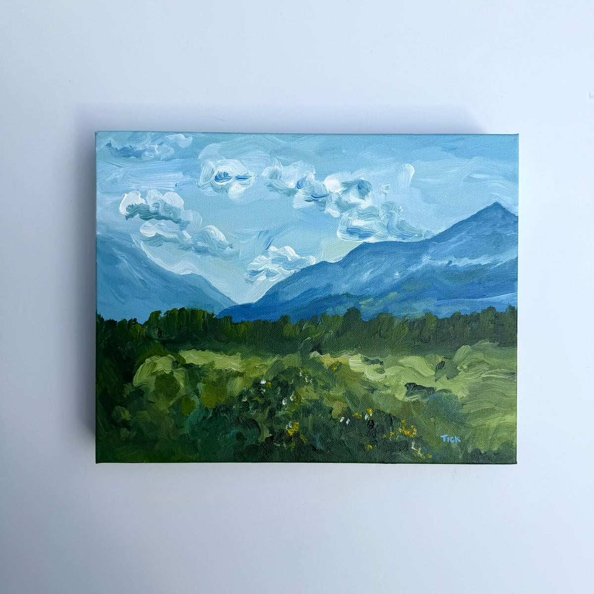 Glacier Mountain Range, Original 11x14