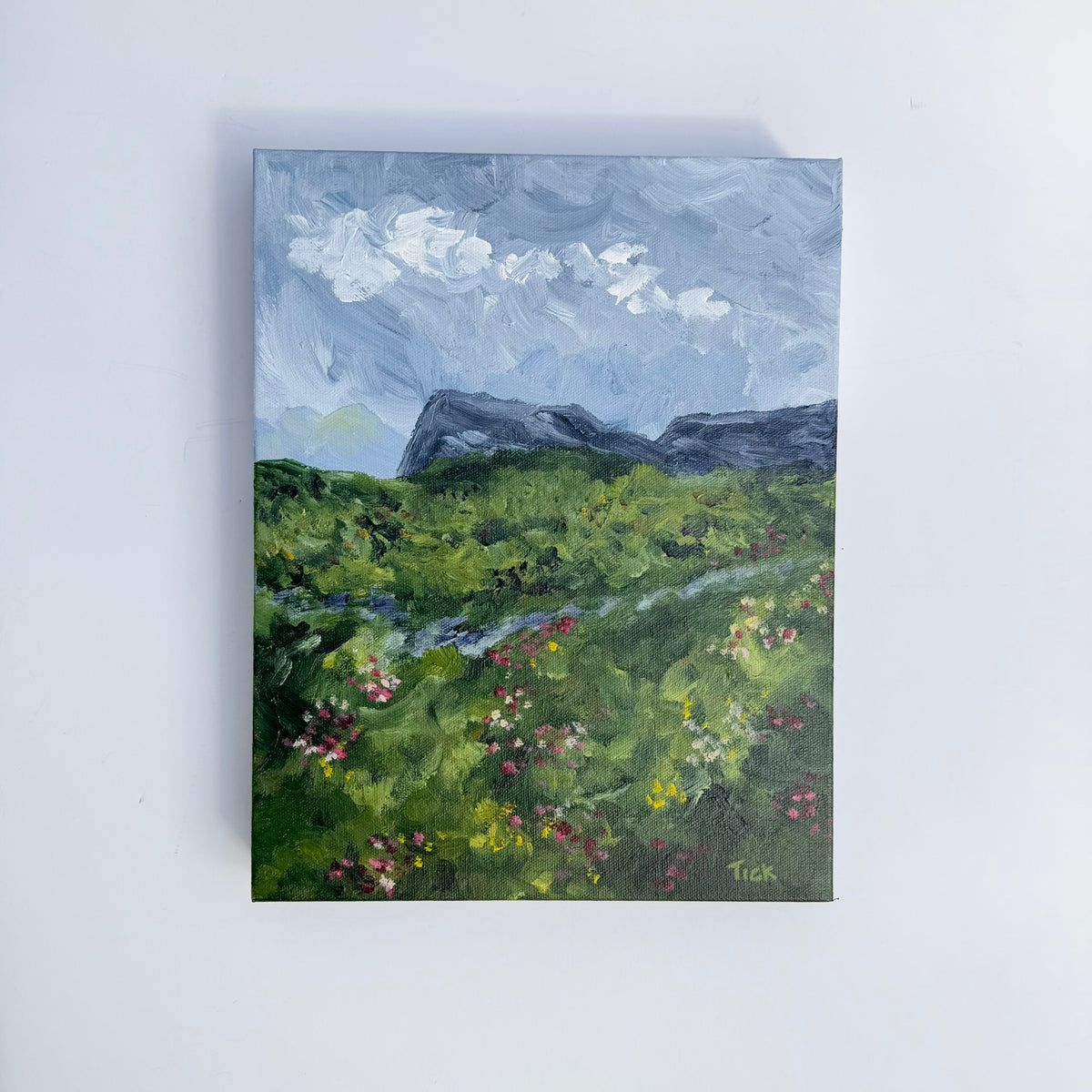 Flowers in the Field, Original 11x14