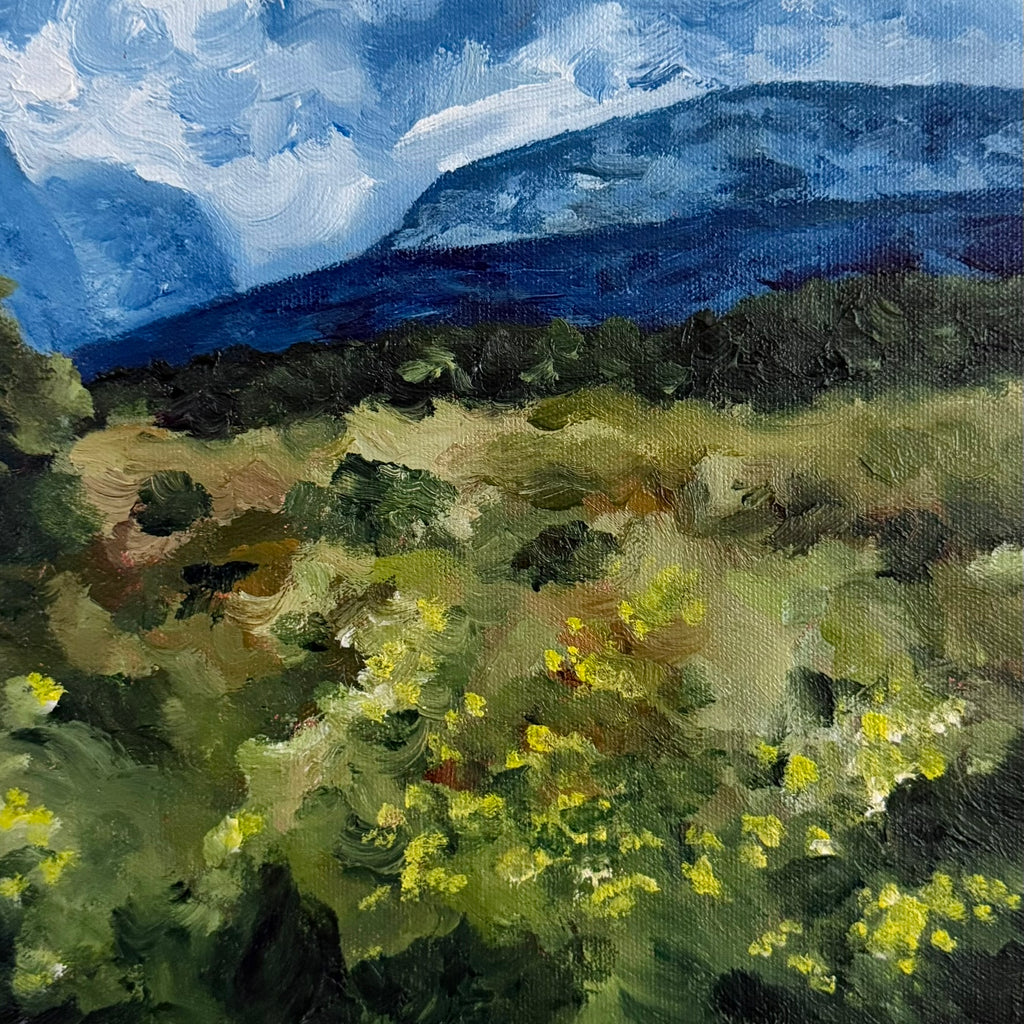 Swirling Skies, Original 11x14