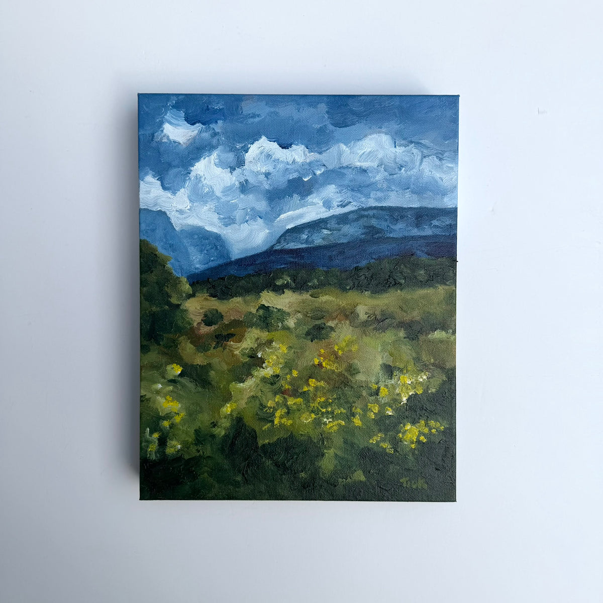 Swirling Skies, Original 11x14